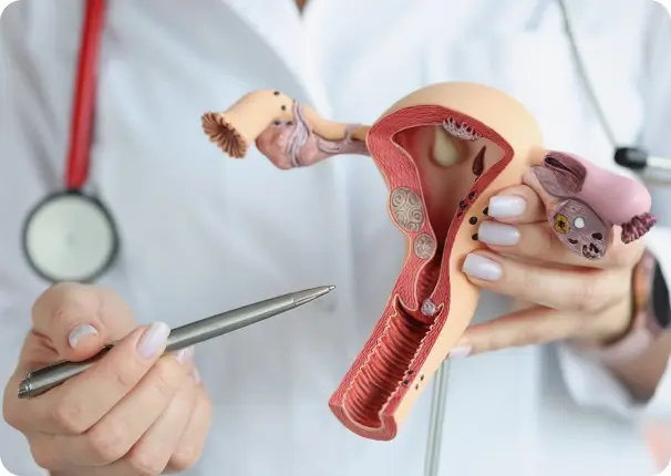 Gynaecological Cancer Gynaecological Cancer