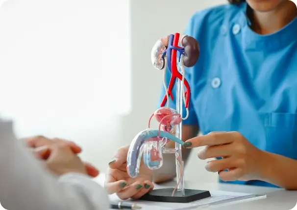 Urological Cancers Urological Cancers