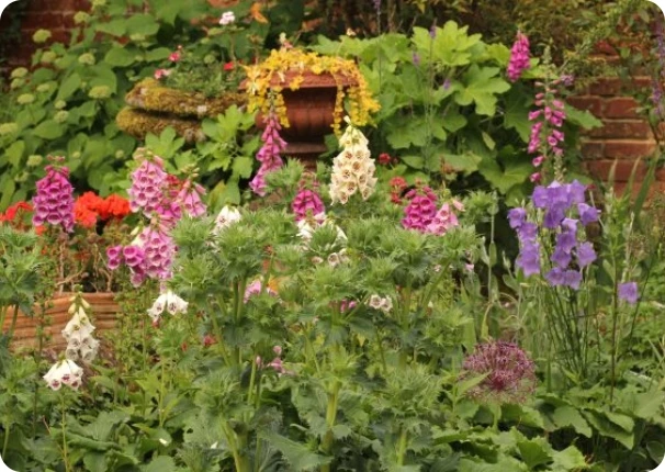 Open Gardens Open Gardens